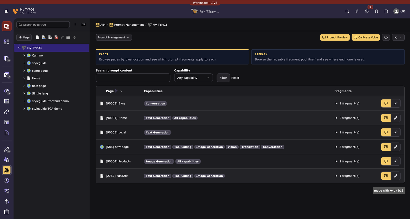 Prompt Management listing the pages that carry a tone-of-voice fragment